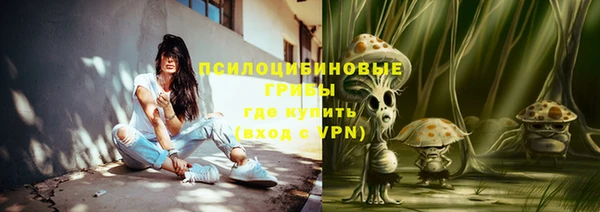 альфа пвп Армянск