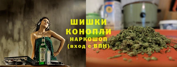 соль ск Арсеньев