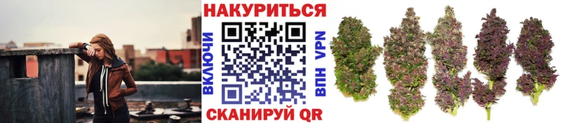 Каннабис тримм  kraken вход  Лениногорск 